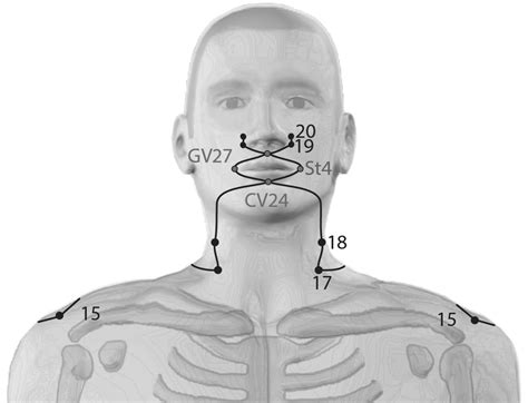 acupuncture doubleview|Welcome [optimawellnessacu.com].